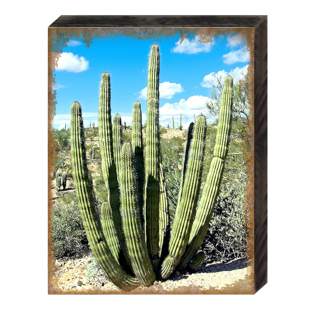 Kennerdell Cactus Art Wooden Wall Art by Nature Wonders - Nature Wildlife Decor  - 95277B